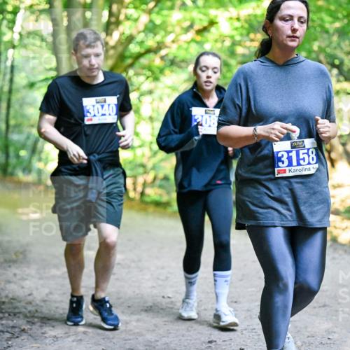 28.09.2025 - 33. Volkslauf durch das schöne Alstertal Dr. Thomas Lammeyer http://msf.ph/oto/8959857 28.09.2025 10:56:32 Laufen 3040, 3158 meine-sportfotos.de