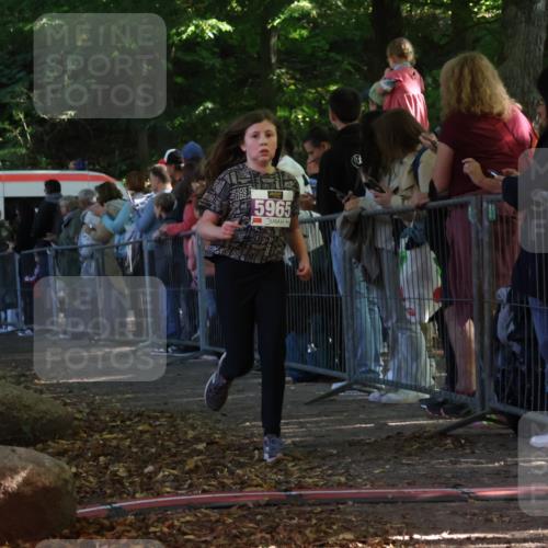 28.09.2025 - 33. Volkslauf durch das schöne Alstertal Strokosch-Dieckow http://msf.ph/oto/8959867 28.09.2025 10:47:11 Ziel 5964, 5965 meine-sportfotos.de