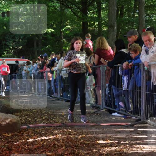 28.09.2025 - 33. Volkslauf durch das schöne Alstertal Strokosch-Dieckow http://msf.ph/oto/8959873 28.09.2025 10:47:11 Ziel 5964, 5965 meine-sportfotos.de