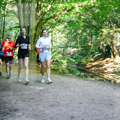 28.09.2025 - 33. Volkslauf durch das schöne Alstertal Dr. Thomas Lammeyer http://msf.ph/oto/8959874 28.09.2025 10:56:52 Laufen 3332, 5163, 5172 meine-sportfotos.de
