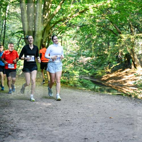 28.09.2025 - 33. Volkslauf durch das schöne Alstertal Dr. Thomas Lammeyer http://msf.ph/oto/8959875 28.09.2025 10:56:52 Laufen 72, 3332 meine-sportfotos.de