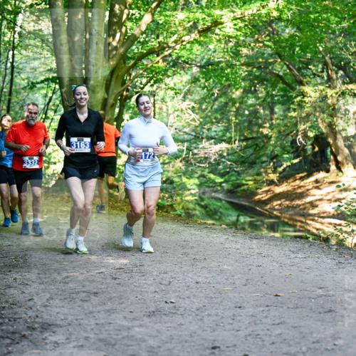 28.09.2025 - 33. Volkslauf durch das schöne Alstertal Dr. Thomas Lammeyer http://msf.ph/oto/8959876 28.09.2025 10:56:52 Laufen 3332, 3163, 172 meine-sportfotos.de