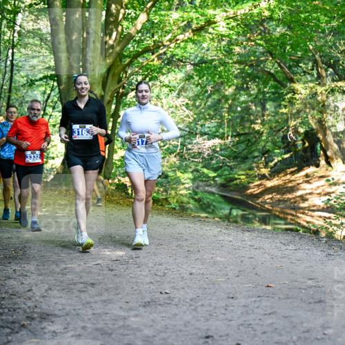 28.09.2025 - 33. Volkslauf durch das schöne Alstertal Dr. Thomas Lammeyer http://msf.ph/oto/8959877 28.09.2025 10:56:52 Laufen 3389, 3332, 316 meine-sportfotos.de