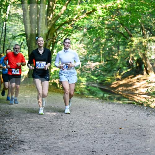 28.09.2025 - 33. Volkslauf durch das schöne Alstertal Dr. Thomas Lammeyer http://msf.ph/oto/8959878 28.09.2025 10:56:52 Laufen 3163, 317 meine-sportfotos.de