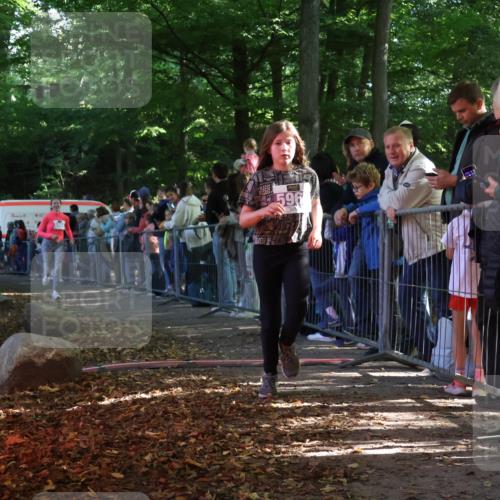 28.09.2025 - 33. Volkslauf durch das schöne Alstertal Strokosch-Dieckow http://msf.ph/oto/8959879 28.09.2025 10:47:12 Ziel 5951, 5964, 5965 meine-sportfotos.de