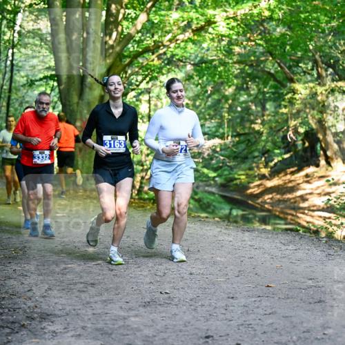 28.09.2025 - 33. Volkslauf durch das schöne Alstertal Dr. Thomas Lammeyer http://msf.ph/oto/8959882 28.09.2025 10:56:53 Laufen 3163, 2, 3332 meine-sportfotos.de