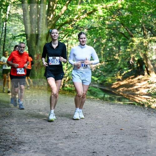 28.09.2025 - 33. Volkslauf durch das schöne Alstertal Dr. Thomas Lammeyer http://msf.ph/oto/8959883 28.09.2025 10:56:53 Laufen 3332, 3163, 7 meine-sportfotos.de