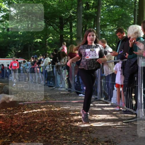 28.09.2025 - 33. Volkslauf durch das schöne Alstertal Strokosch-Dieckow http://msf.ph/oto/8959885 28.09.2025 10:47:12 Ziel 5951, 5964, 5965 meine-sportfotos.de
