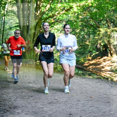 28.09.2025 - 33. Volkslauf durch das schöne Alstertal Dr. Thomas Lammeyer http://msf.ph/oto/8959886 28.09.2025 10:56:53 Laufen 3163, 3332, 517 meine-sportfotos.de