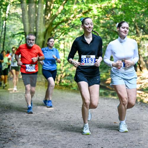 28.09.2025 - 33. Volkslauf durch das schöne Alstertal Dr. Thomas Lammeyer http://msf.ph/oto/8959891 28.09.2025 10:56:54 Laufen 3163 meine-sportfotos.de