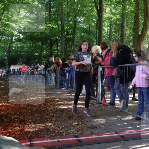 28.09.2025 - 33. Volkslauf durch das schöne Alstertal Strokosch-Dieckow http://msf.ph/oto/8959892 28.09.2025 10:47:12 Ziel 5951, 5964, 5965 meine-sportfotos.de
