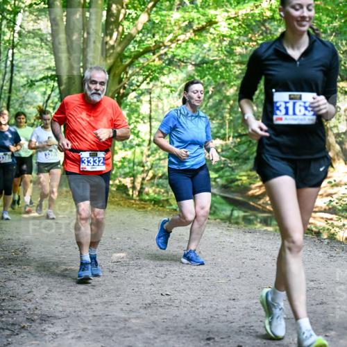28.09.2025 - 33. Volkslauf durch das schöne Alstertal Dr. Thomas Lammeyer http://msf.ph/oto/8959895 28.09.2025 10:56:55 Laufen 3389, 3332, 3165 meine-sportfotos.de
