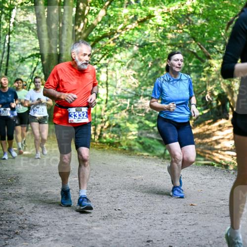 28.09.2025 - 33. Volkslauf durch das schöne Alstertal Dr. Thomas Lammeyer http://msf.ph/oto/8959898 28.09.2025 10:56:55 Laufen 3389, 3390, 3332, 103 meine-sportfotos.de
