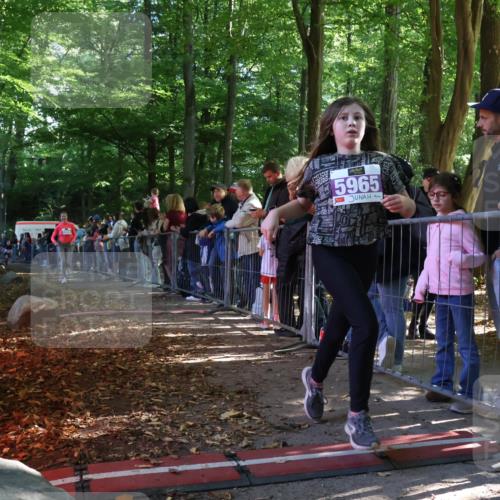 28.09.2025 - 33. Volkslauf durch das schöne Alstertal Strokosch-Dieckow http://msf.ph/oto/8959899 28.09.2025 10:47:13 Ziel 5951, 5964, 5965 meine-sportfotos.de
