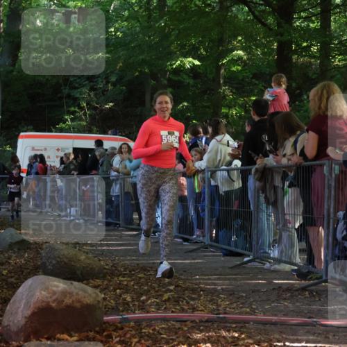 28.09.2025 - 33. Volkslauf durch das schöne Alstertal Strokosch-Dieckow http://msf.ph/oto/8959905 28.09.2025 10:47:14 Ziel 5951, 5960, 5964 meine-sportfotos.de