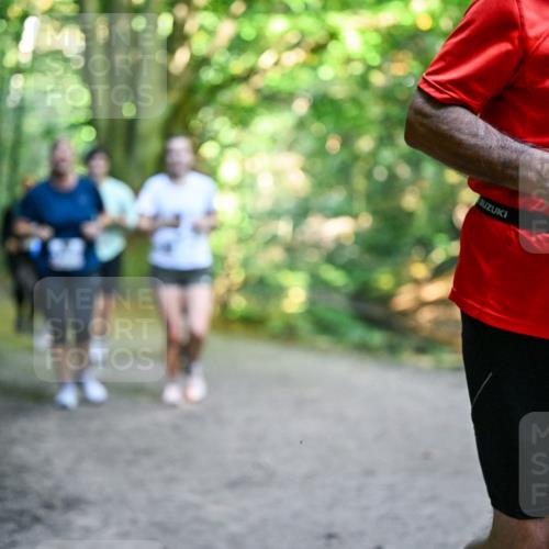 28.09.2025 - 33. Volkslauf durch das schöne Alstertal Dr. Thomas Lammeyer http://msf.ph/oto/8959912 28.09.2025 10:56:57 Laufen 3332 meine-sportfotos.de