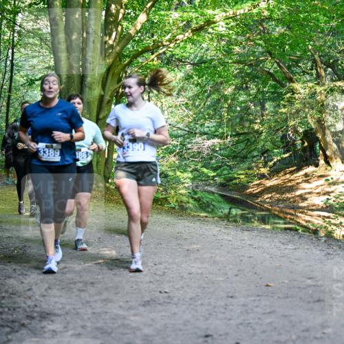 28.09.2025 - 33. Volkslauf durch das schöne Alstertal Dr. Thomas Lammeyer http://msf.ph/oto/8959914 28.09.2025 10:56:58 Laufen 3390, 3389, 186 meine-sportfotos.de