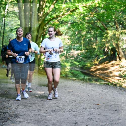 28.09.2025 - 33. Volkslauf durch das schöne Alstertal Dr. Thomas Lammeyer http://msf.ph/oto/8959915 28.09.2025 10:56:58 Laufen 3389, 86, 3390 meine-sportfotos.de