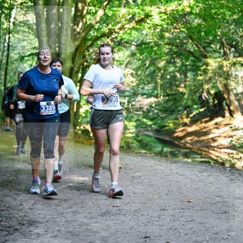 28.09.2025 - 33. Volkslauf durch das schöne Alstertal Dr. Thomas Lammeyer http://msf.ph/oto/8959916 28.09.2025 10:56:58 Laufen 305, 3389, 3390 meine-sportfotos.de