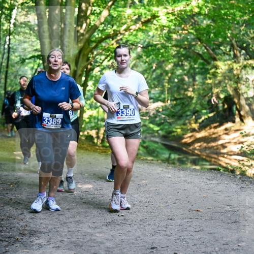 28.09.2025 - 33. Volkslauf durch das schöne Alstertal Dr. Thomas Lammeyer http://msf.ph/oto/8959918 28.09.2025 10:56:58 Laufen 3389, 3390 meine-sportfotos.de