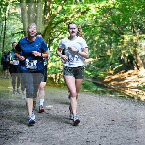 28.09.2025 - 33. Volkslauf durch das schöne Alstertal Dr. Thomas Lammeyer http://msf.ph/oto/8959920 28.09.2025 10:56:59 Laufen 3051, 3389, 3390 meine-sportfotos.de