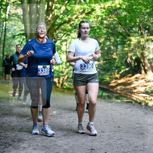 28.09.2025 - 33. Volkslauf durch das schöne Alstertal Dr. Thomas Lammeyer http://msf.ph/oto/8959922 28.09.2025 10:56:59 Laufen 13389, 3390 meine-sportfotos.de