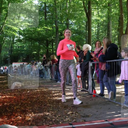 28.09.2025 - 33. Volkslauf durch das schöne Alstertal Strokosch-Dieckow http://msf.ph/oto/8959925 28.09.2025 10:47:15 Ziel 5951, 5960, 5964 meine-sportfotos.de