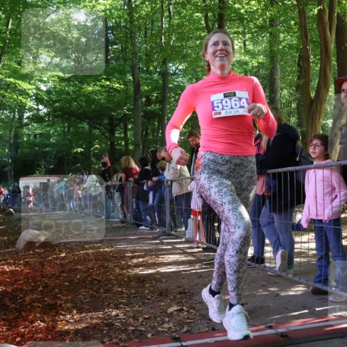 28.09.2025 - 33. Volkslauf durch das schöne Alstertal Strokosch-Dieckow http://msf.ph/oto/8959933 28.09.2025 10:47:16 Ziel 5951, 5960, 5964 meine-sportfotos.de
