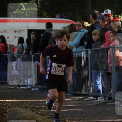 28.09.2025 - 33. Volkslauf durch das schöne Alstertal Strokosch-Dieckow http://msf.ph/oto/8959938 28.09.2025 10:47:19 Ziel 5951, 5960 meine-sportfotos.de