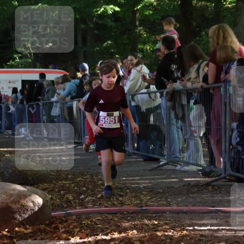28.09.2025 - 33. Volkslauf durch das schöne Alstertal Strokosch-Dieckow http://msf.ph/oto/8959952 28.09.2025 10:47:20 Ziel 5951, 5960 meine-sportfotos.de