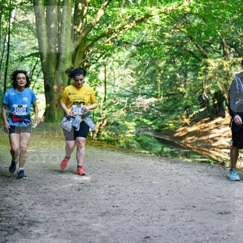 28.09.2025 - 33. Volkslauf durch das schöne Alstertal Dr. Thomas Lammeyer http://msf.ph/oto/8959956 28.09.2025 10:57:11 Laufen 3085, 3084 meine-sportfotos.de