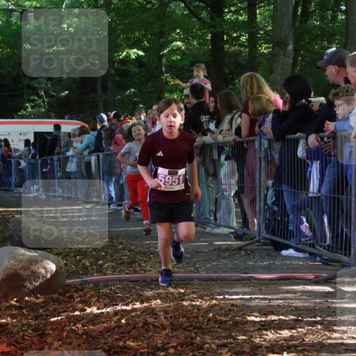 28.09.2025 - 33. Volkslauf durch das schöne Alstertal Strokosch-Dieckow http://msf.ph/oto/8959958 28.09.2025 10:47:21 Ziel 5951, 5960 meine-sportfotos.de
