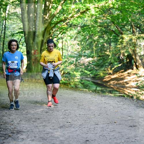 28.09.2025 - 33. Volkslauf durch das schöne Alstertal Dr. Thomas Lammeyer http://msf.ph/oto/8959960 28.09.2025 10:57:11 Laufen 3085, 308 meine-sportfotos.de
