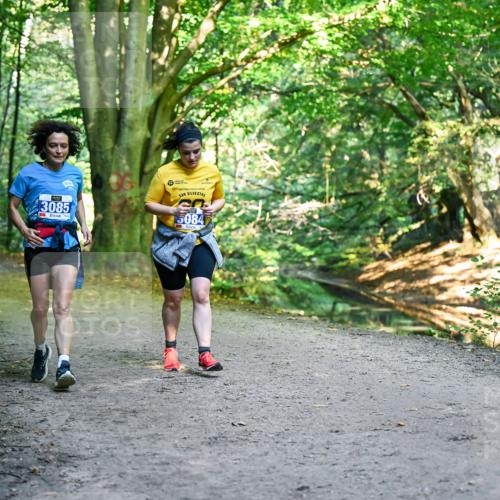 28.09.2025 - 33. Volkslauf durch das schöne Alstertal Dr. Thomas Lammeyer http://msf.ph/oto/8959961 28.09.2025 10:57:11 Laufen 3085, 5084 meine-sportfotos.de