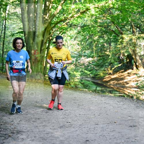 28.09.2025 - 33. Volkslauf durch das schöne Alstertal Dr. Thomas Lammeyer http://msf.ph/oto/8959962 28.09.2025 10:57:11 Laufen 3085, 3084 meine-sportfotos.de