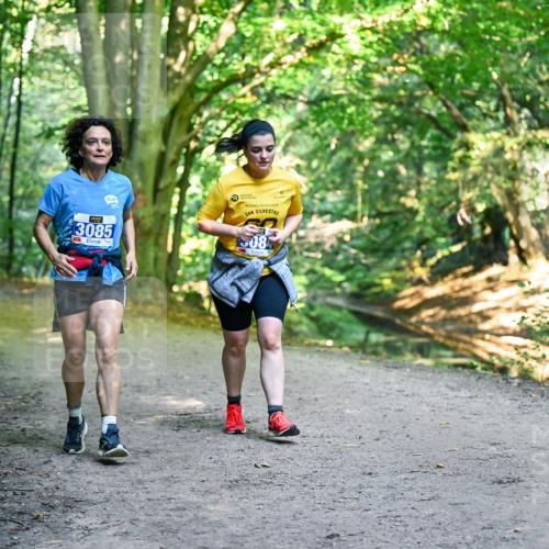 28.09.2025 - 33. Volkslauf durch das schöne Alstertal Dr. Thomas Lammeyer http://msf.ph/oto/8959964 28.09.2025 10:57:12 Laufen 3085, 5084 meine-sportfotos.de