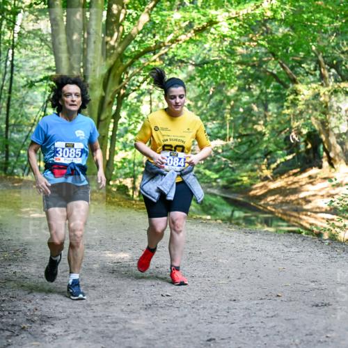 28.09.2025 - 33. Volkslauf durch das schöne Alstertal Dr. Thomas Lammeyer http://msf.ph/oto/8959965 28.09.2025 10:57:12 Laufen 3085, 084 meine-sportfotos.de