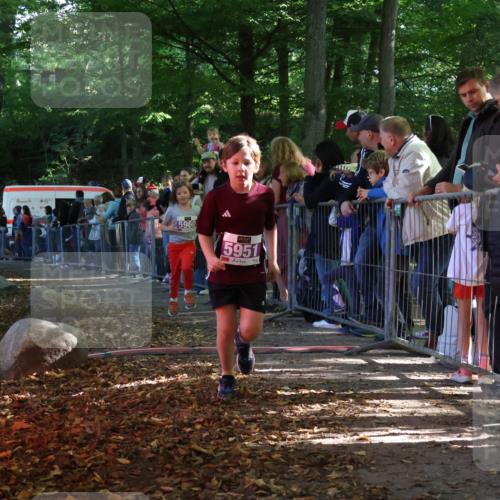 28.09.2025 - 33. Volkslauf durch das schöne Alstertal Strokosch-Dieckow http://msf.ph/oto/8959966 28.09.2025 10:47:21 Ziel 5951, 5960 meine-sportfotos.de