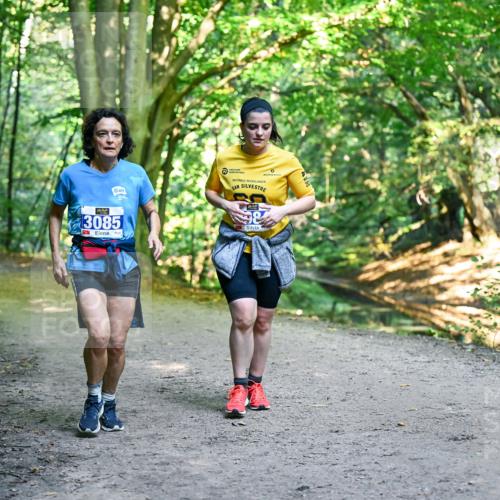 28.09.2025 - 33. Volkslauf durch das schöne Alstertal Dr. Thomas Lammeyer http://msf.ph/oto/8959967 28.09.2025 10:57:12 Laufen 3085 meine-sportfotos.de