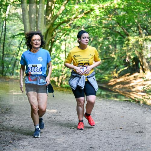 28.09.2025 - 33. Volkslauf durch das schöne Alstertal Dr. Thomas Lammeyer http://msf.ph/oto/8959969 28.09.2025 10:57:12 Laufen 3085 meine-sportfotos.de
