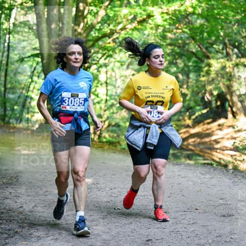 28.09.2025 - 33. Volkslauf durch das schöne Alstertal Dr. Thomas Lammeyer http://msf.ph/oto/8959971 28.09.2025 10:57:13 Laufen 3085, 084 meine-sportfotos.de