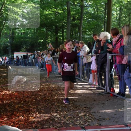 28.09.2025 - 33. Volkslauf durch das schöne Alstertal Strokosch-Dieckow http://msf.ph/oto/8959972 28.09.2025 10:47:22 Ziel 5951, 5960 meine-sportfotos.de