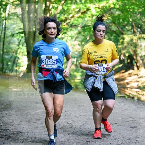 28.09.2025 - 33. Volkslauf durch das schöne Alstertal Dr. Thomas Lammeyer http://msf.ph/oto/8959975 28.09.2025 10:57:13 Laufen 3085, 984 meine-sportfotos.de