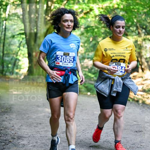 28.09.2025 - 33. Volkslauf durch das schöne Alstertal Dr. Thomas Lammeyer http://msf.ph/oto/8959977 28.09.2025 10:57:13 Laufen 3085, 84 meine-sportfotos.de
