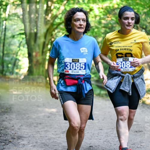28.09.2025 - 33. Volkslauf durch das schöne Alstertal Dr. Thomas Lammeyer http://msf.ph/oto/8959979 28.09.2025 10:57:14 Laufen 3085, 308 meine-sportfotos.de
