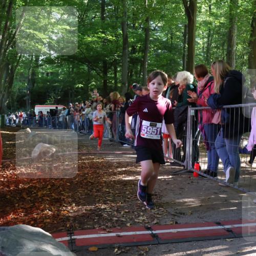 28.09.2025 - 33. Volkslauf durch das schöne Alstertal Strokosch-Dieckow http://msf.ph/oto/8959981 28.09.2025 10:47:22 Ziel 5951, 5960 meine-sportfotos.de