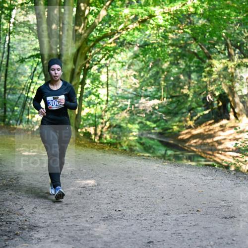 28.09.2025 - 33. Volkslauf durch das schöne Alstertal Dr. Thomas Lammeyer http://msf.ph/oto/8959987 28.09.2025 10:57:32 Laufen 306 meine-sportfotos.de