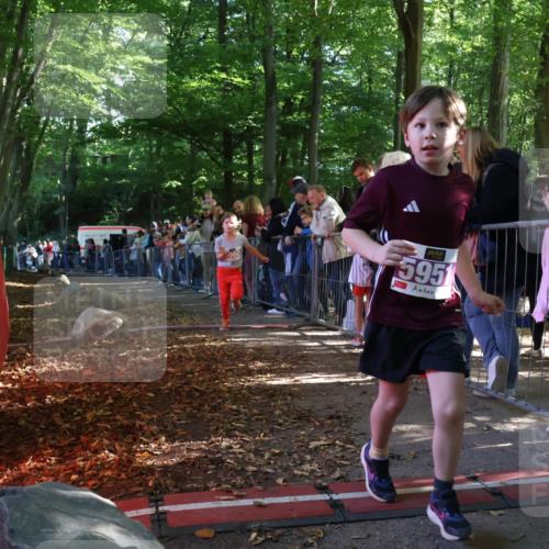 28.09.2025 - 33. Volkslauf durch das schöne Alstertal Strokosch-Dieckow http://msf.ph/oto/8959989 28.09.2025 10:47:23 Ziel 5960 meine-sportfotos.de