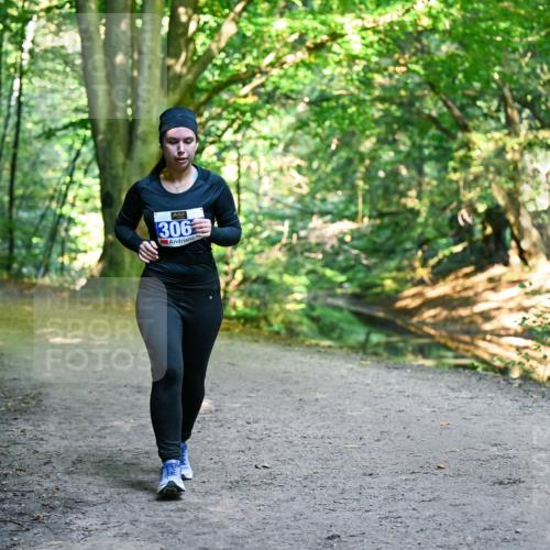 28.09.2025 - 33. Volkslauf durch das schöne Alstertal Dr. Thomas Lammeyer http://msf.ph/oto/8959993 28.09.2025 10:57:33 Laufen 306 meine-sportfotos.de