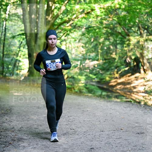 28.09.2025 - 33. Volkslauf durch das schöne Alstertal Dr. Thomas Lammeyer http://msf.ph/oto/8959994 28.09.2025 10:57:33 Laufen 306 meine-sportfotos.de